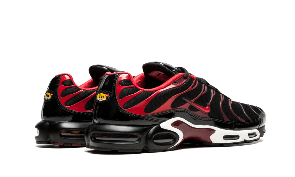 Nike Air Max Plus Black and Red 
