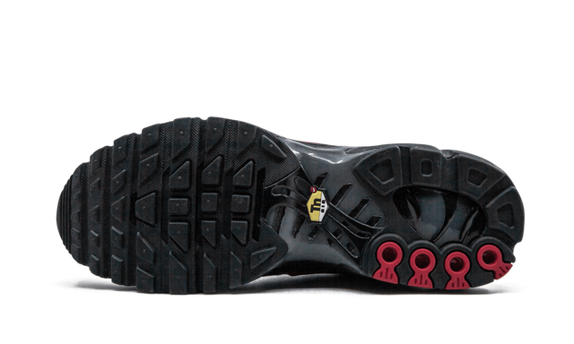Nike Air Max Plus Blue and Red 