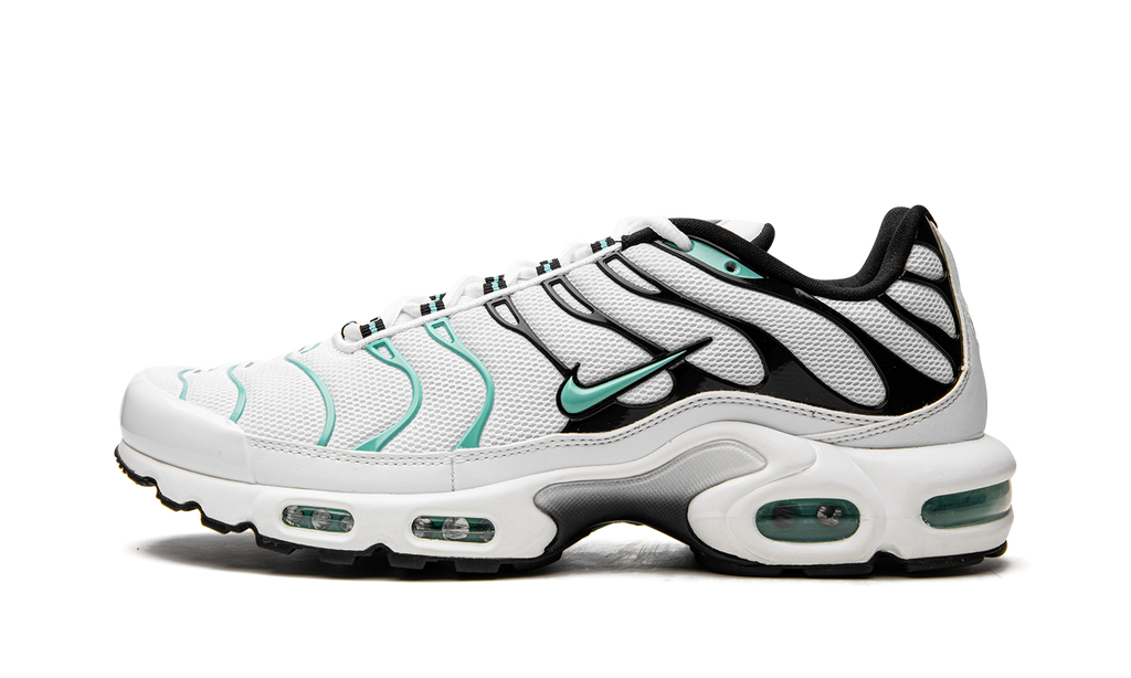 Nike Air Max Plus Atmos 