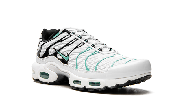 Nike Air Max Plus Atmos 