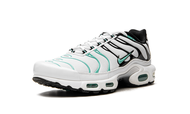 Nike Air Max Plus Atmos 