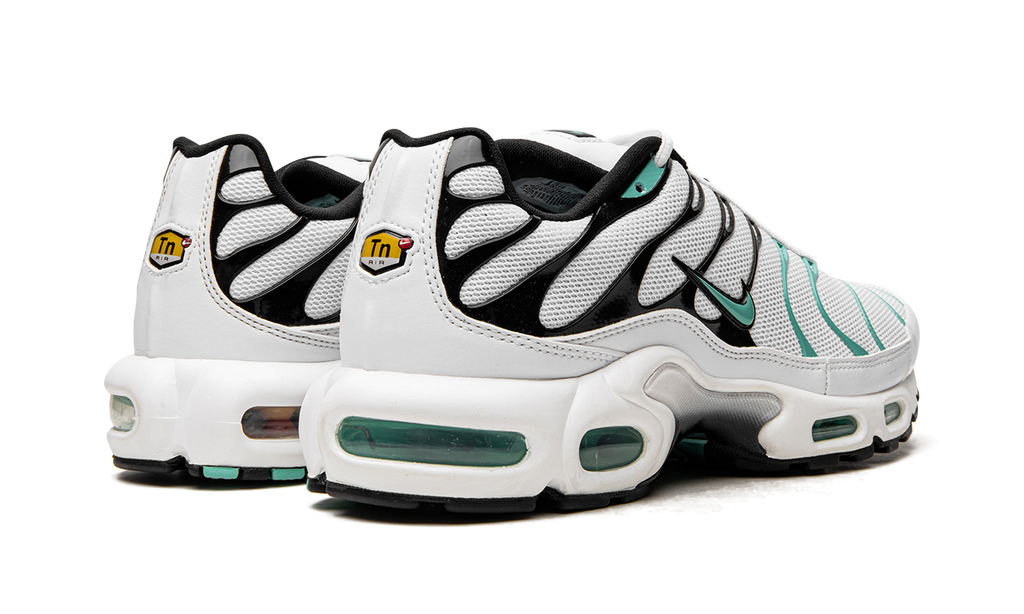 Nike Air Max Plus Atmos 