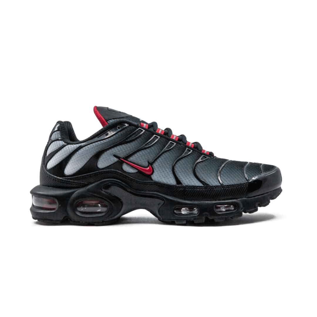 Nike Air Max Plus Blue and Red 