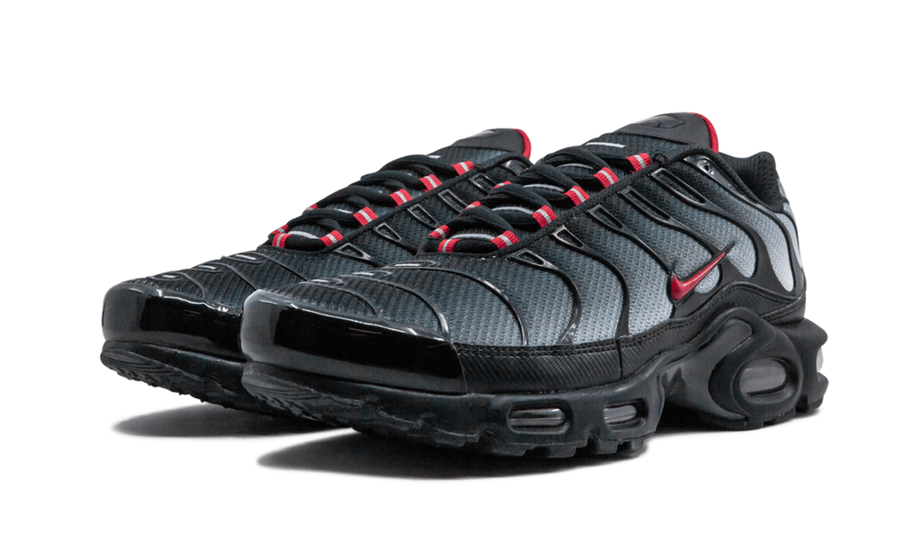 Nike Air Max Plus Blue and Red 