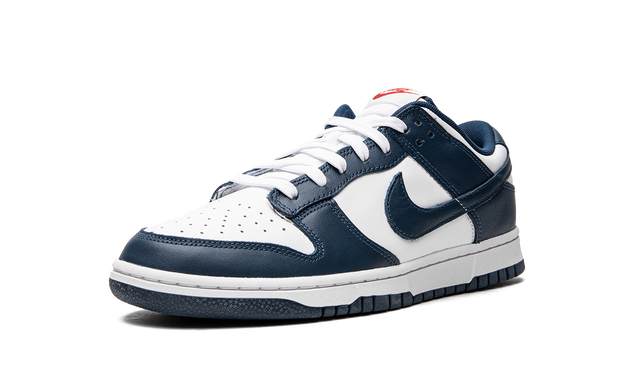 Nike Dunk Low Valerian Azul
