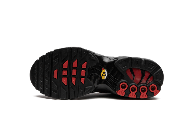 Nike Air Max Plus 