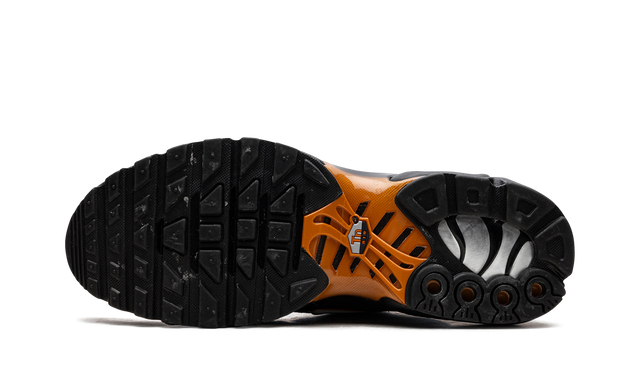 Air Max TN Plus Dark Obsidian Orange 