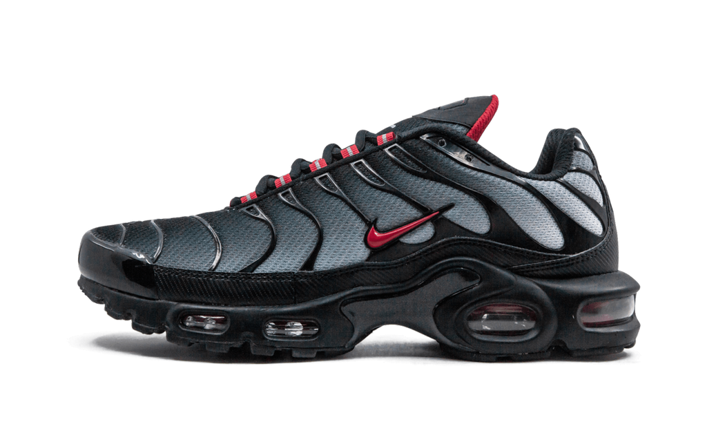 Nike Air Max Plus Blue and Red 