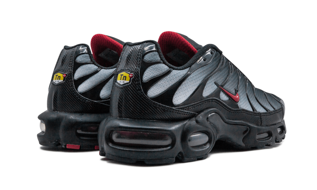 Nike Air Max Plus Blue and Red 