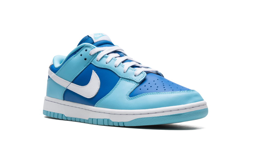 Nike Dunk Low Retro Argon 
