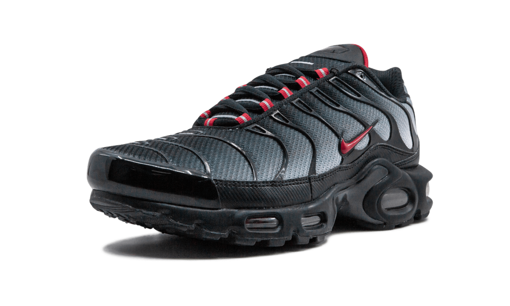 Nike Air Max Plus Blue and Red 